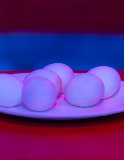 73 Filipino Czech Summer Party 2025 1500x1000px